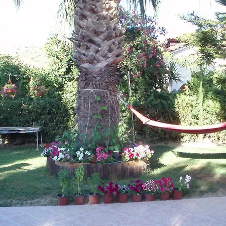Apartment Xenos *